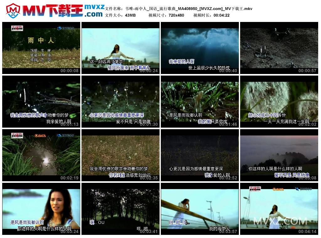 韦唯-雨中人_国语_流行歌曲_MA408950